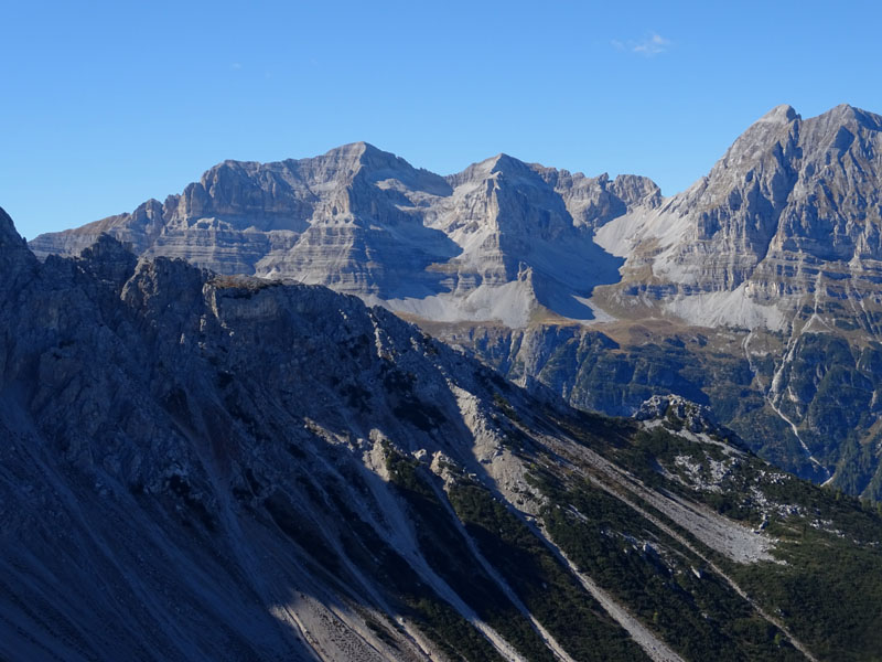 foto brutte 5.....Aquila chrysaetos